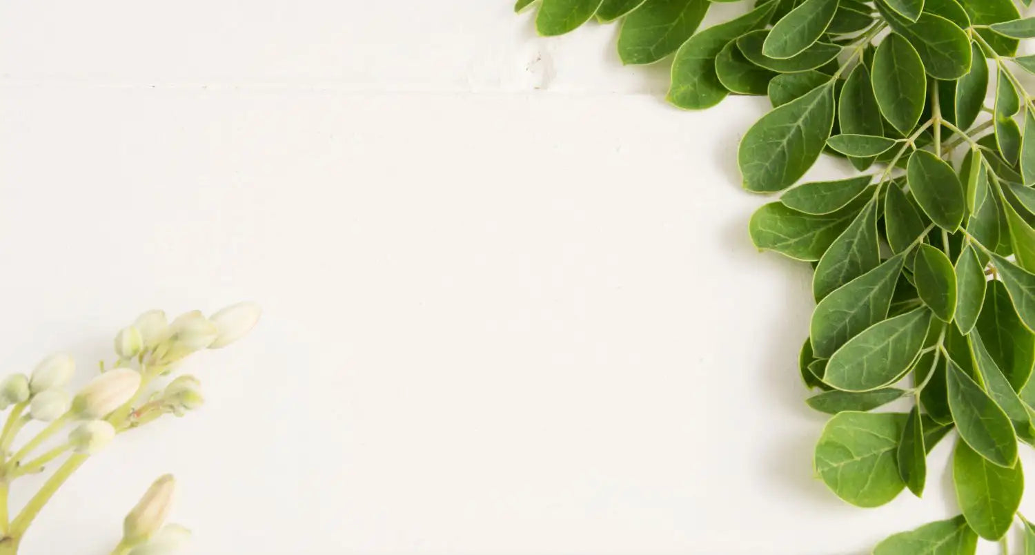MORINGA - UN SUPERALIMENTO: CONSUMO CORRECTO Y BENEFICIOS