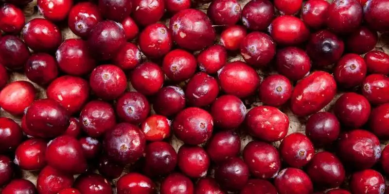 Alimentos con proantocianuros oligomericos