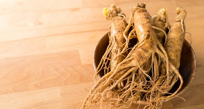 EL INCREÍBLE MUNDO DEL GINSENG: EFECTOS SOBRE LA SALUD DE LA MUJER Y EL INTESTINO