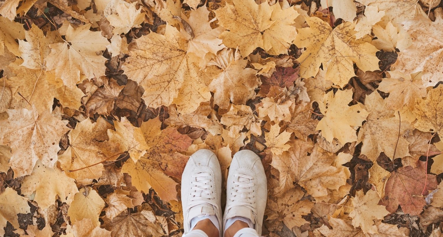 DATOS INTERESANTES QUE NO SABÍAS SOBRE LA NUTRICIÓN EN OTOÑO