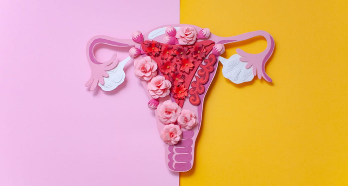 ENDOMETRIOSIS: TRATAMIENTO, SÍNTOMAS Y TODO LO QUE DEBES SABER