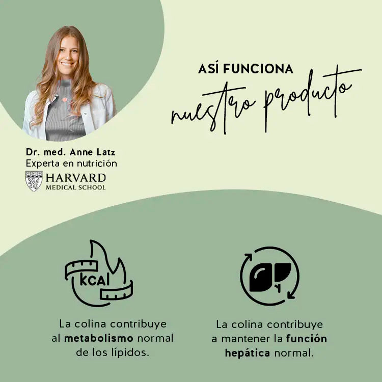 Descripción de como funcionan los ingredientes de las vitaminas Shape Bites en el cuerpo.