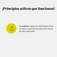 Bears with Benefits Daily Essentials Creatina – Gominolas con 3 g de creatina monohidrato por dosis diaria para apoyar fuerza, resistencia, rendimiento físico y recuperación muscular en entrenamientos intensos.