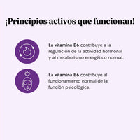 Bears with Benefits Femtastic PMS – Gominolas formuladas para contribuir a la regulación de la actividad hormonal, apoyar el bienestar emocional y favorecer el confort durante el síndrome premenstrual.