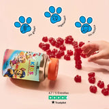 Esta foto muestra los beneficios del producto Power Paws Vitamins with Multivitamin Complex de Bears with Benefits. Sin azúcar y vegano, sabor natural a frambuesa, calidad de farmacia alemana y desarrollado por expertos en nutrición.