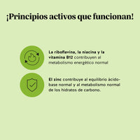 Bears with Benefits My Metabolic Matcha – Gominolas para acompañar tu ritmo diario y favorecer el metabolismo energético con vitaminas del grupo B y zinc.