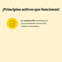 Bears with Benefits Rest & Digest Gut Flow – Gominolas probióticas para favorecer la flora intestinal, la digestión y el equilibrio del microbioma.