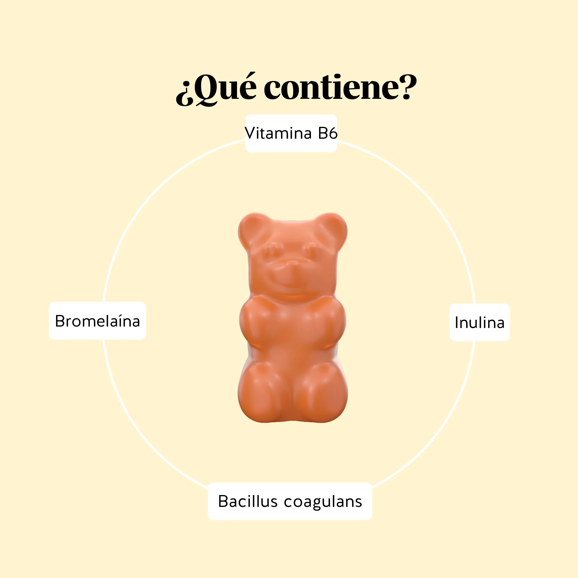 Ingredientes que contiene el probiótico Rest & Digest Gut Flow de Bears with Benefits, seleccionados para cuidar la salud intestinal .