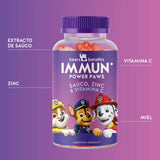 Esta imagen muestra los ingredientes de los ositos Immun Power Paws para niños con saúco. Extracto de saúco, zinc, vitamina C y miel.